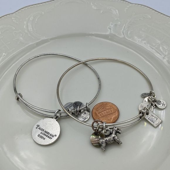 Alex and Ani Rafaleian Silver Dog Int. E Bracelets - Picture 7 of 8